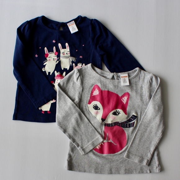 Gymboree Other - Imprinted Girls Long Sleeve Shirt
